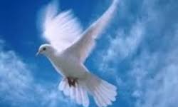 پاورپوینت مبانی آزادی و آزادگی انسان در اندیشه سیاسی امام علی علیه السلام