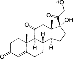 پاورپوینت Adrenocorticosteroids