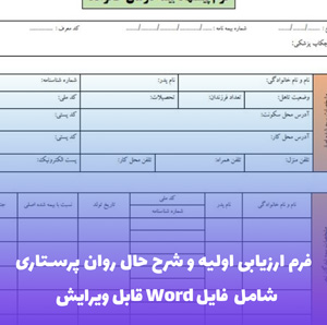 استانداردهای گزارش نویسی روان پرستاری | PDF
